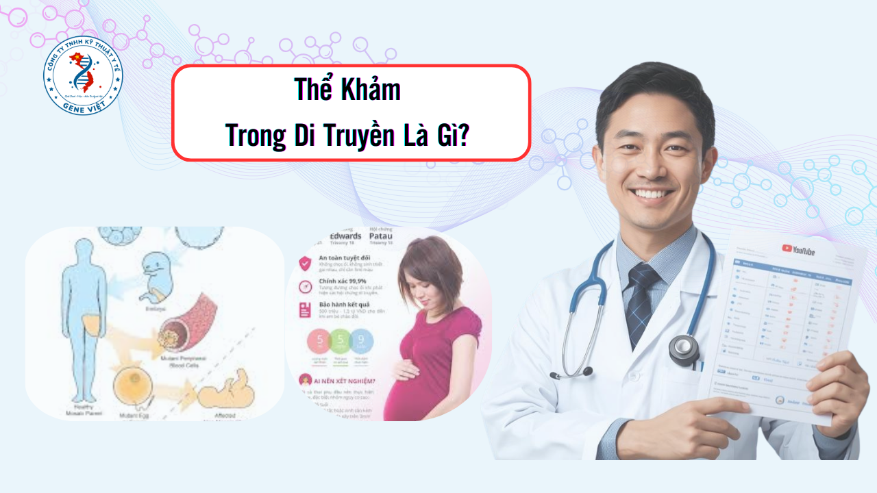 Thể Khảm Trong Di Truyền Là Gì? Ý Nghĩa Và Khi Nào Cần Xét Nghiệm
