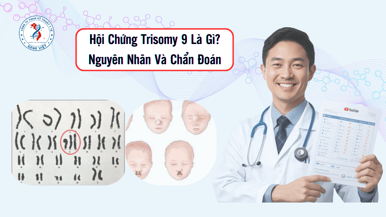 Hội Chứng Trisomy 9 Là Gì? Nguyên Nhân Và Chẩn Đoán