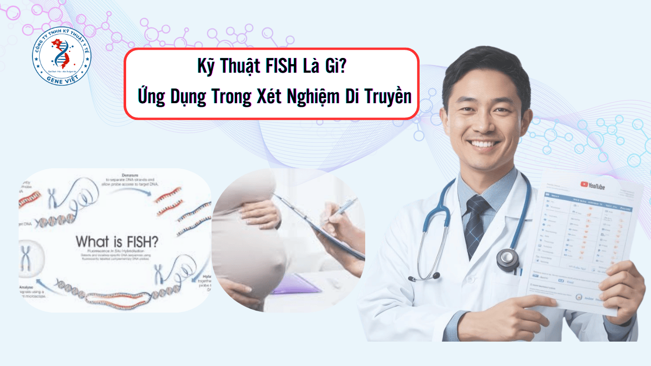 Kỹ Thuật FISH Là Gì? Ứng Dụng Trong Xét Nghiệm Di Truyền