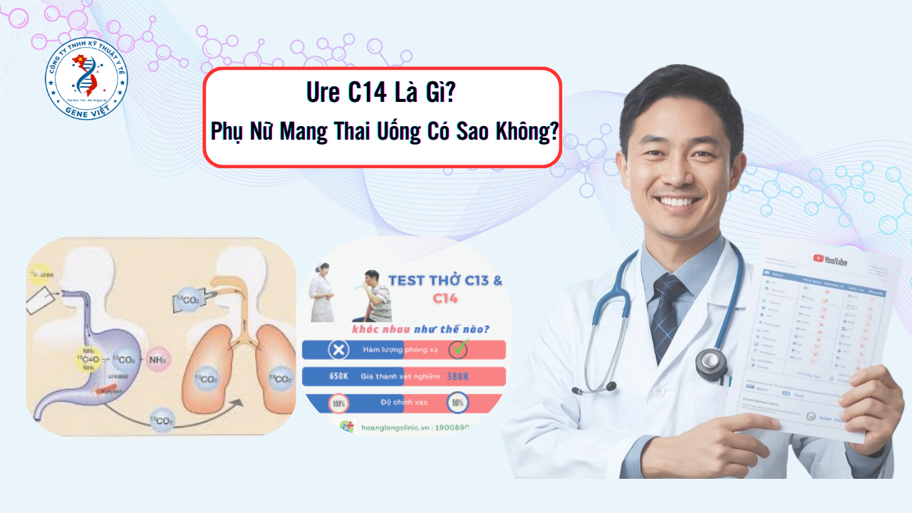 Ure C14 Là Gì? Phụ Nữ Mang Thai Uống Có Sao Không?