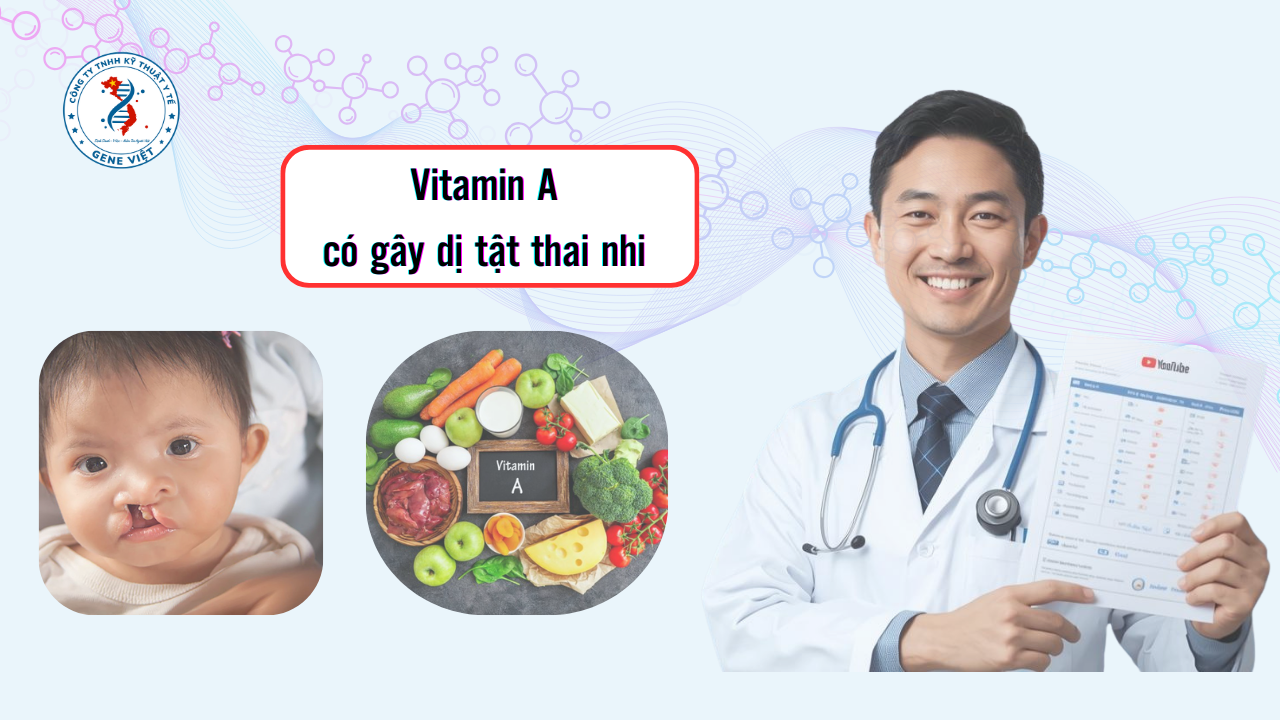 Vitamin A Có Gây Dị Tật Thai Nhi Không? Mẹ Bầu Cần Lưu Ý