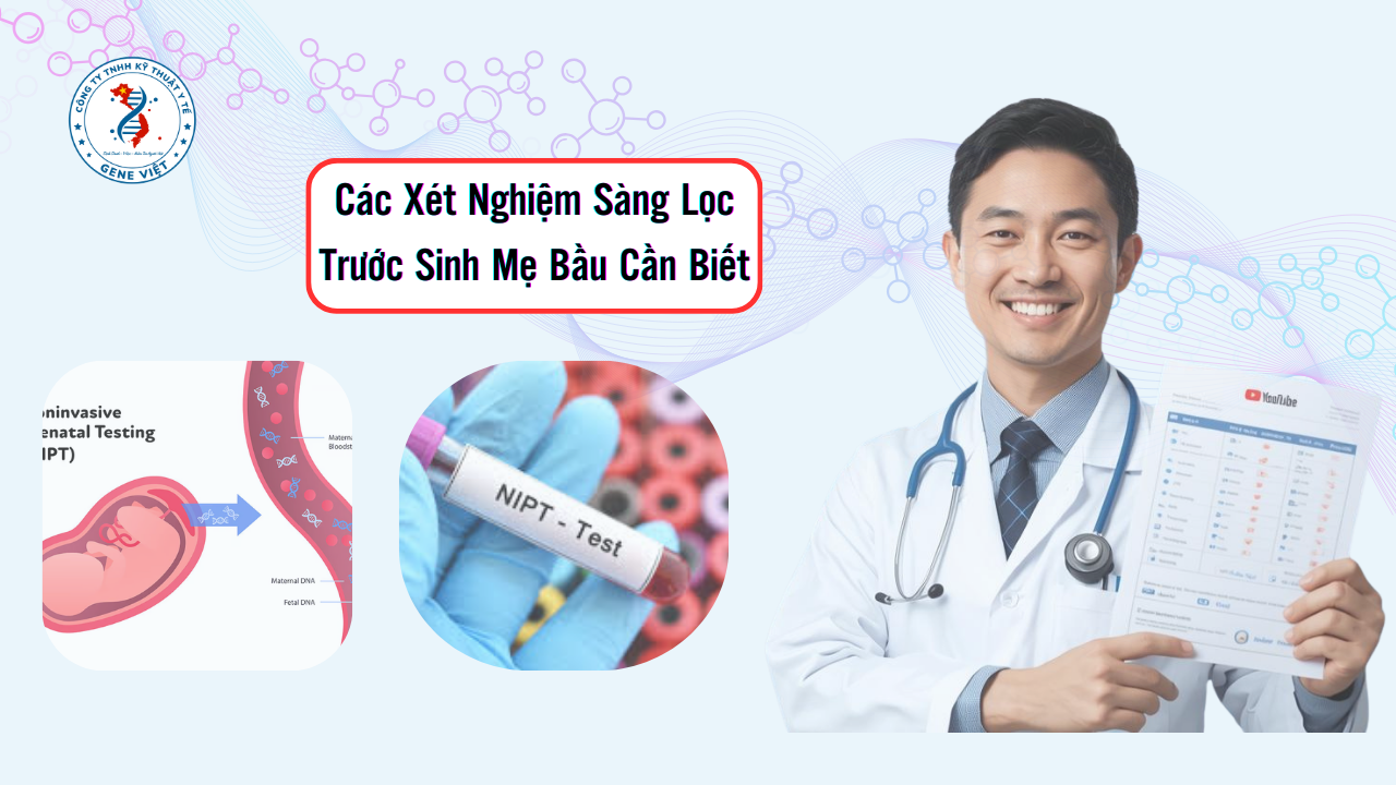 Các Xét Nghiệm Sàng Lọc Trước Sinh Mẹ Bầu Cần Biết