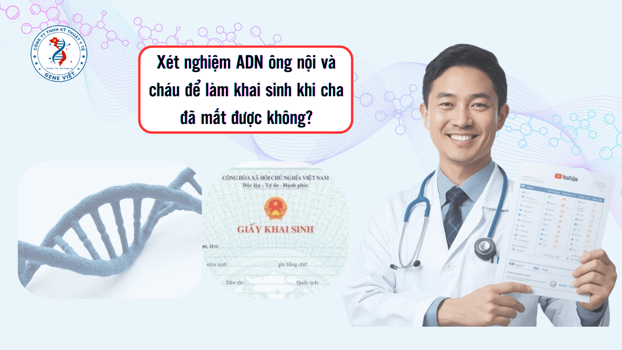 Xét nghiệm ADN ông nội và cháu để làm khai sinh khi cha đã mất được không?