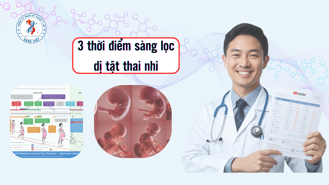3 Thời Điểm Sàng Lọc Dị Tật Thai Nhi Quan Trọng Mẹ Bầu Cần Biết