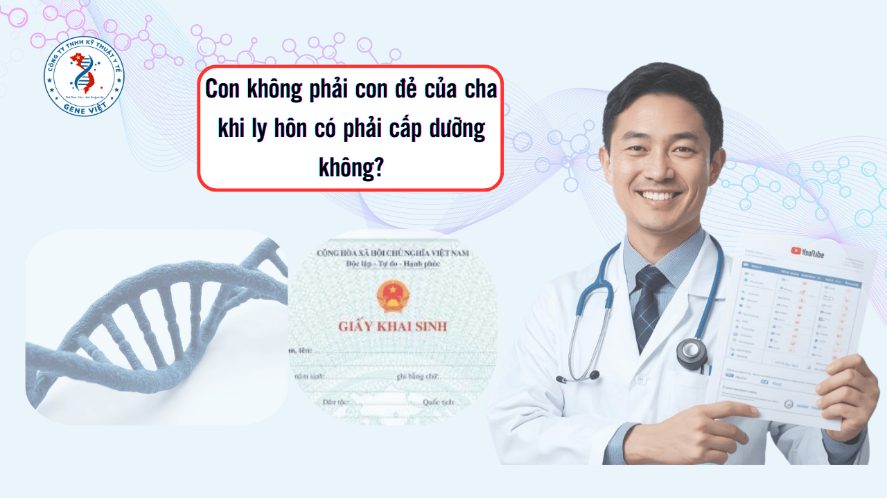 Con không phải con đẻ của cha khi ly hôn có phải cấp dưỡng không?