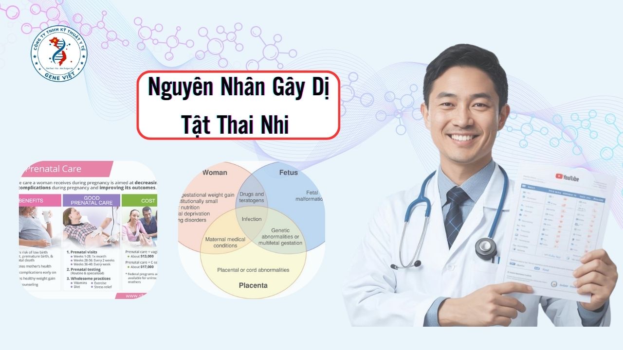 Nguyên Nhân Gây Dị Tật Thai Nhi & Cách Phòng Ngừa Hiệu Quả