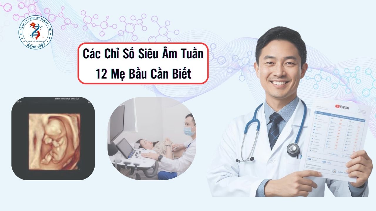 Các Chỉ Số Siêu Âm Tuần 12 Mẹ Bầu Cần Biết