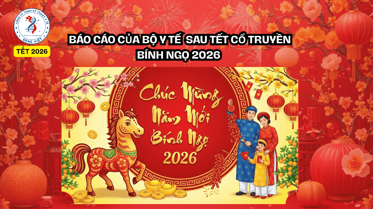 Gần 340 Ca Cấp Cứu Do Pháo Nổ Dịp Tết | Cảnh Báo Y Tế 2026 – ADN Gene Việt