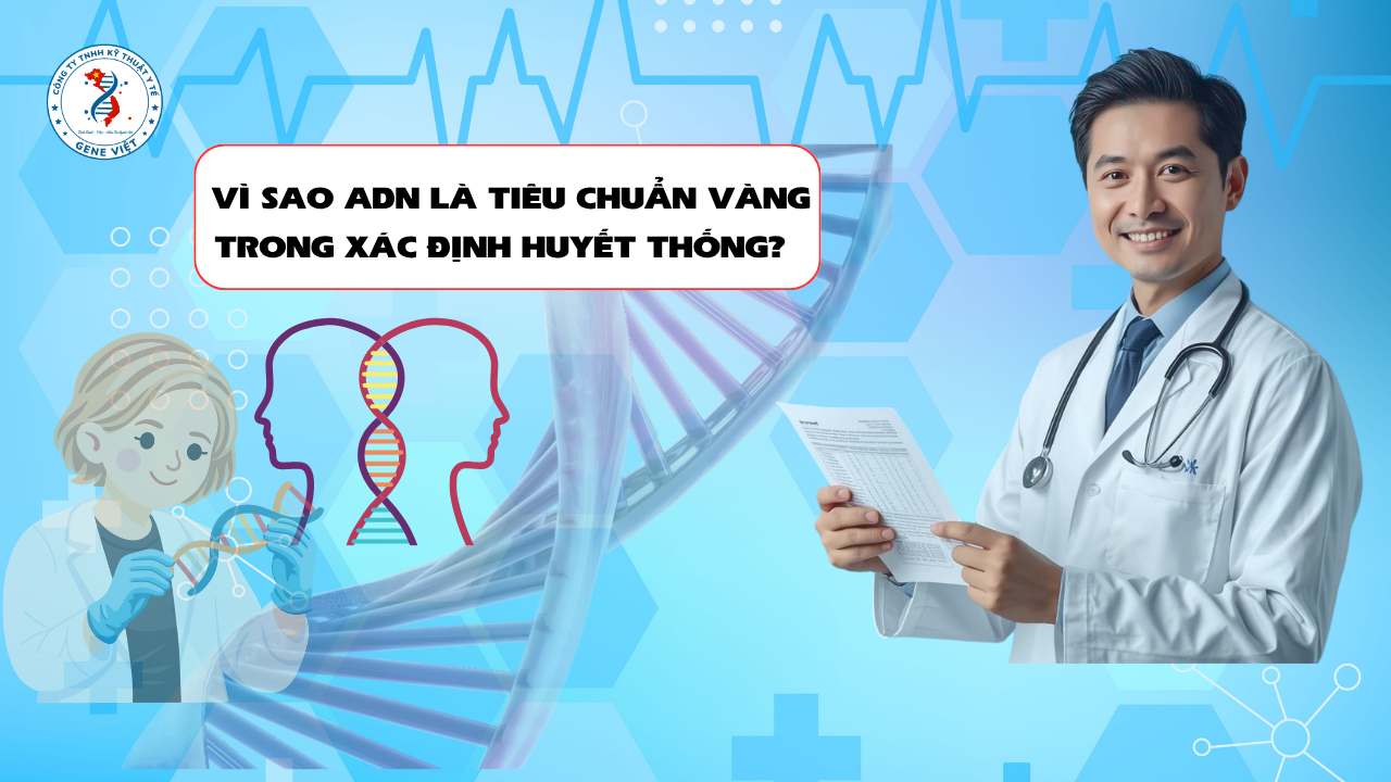 Vì Sao ADN Được Xem Là “Tiêu Chuẩn Vàng” Trong Xác Định Huyết Thống?