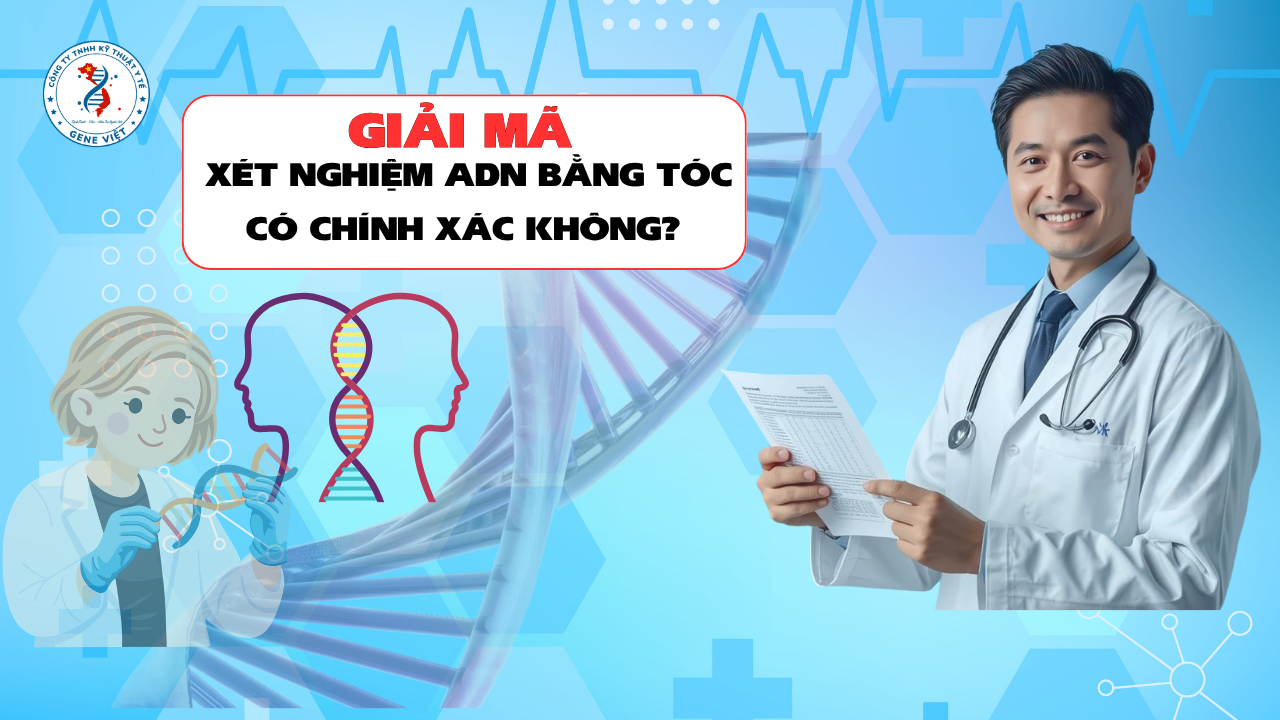 Xét Nghiệm ADN Bằng Tóc Có Chính Xác Không? Những Điều Nhiều Người Hiểu Sai