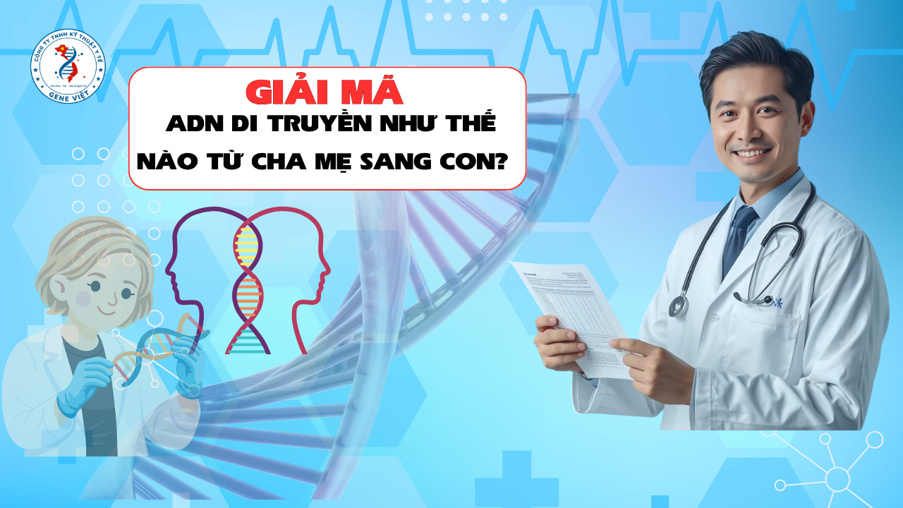 ADN Di Truyền Như Thế Nào Từ Cha Mẹ Sang Con? Giải Mã Bí Ẩn Của Sự Thừa Hưởng Di Truyền