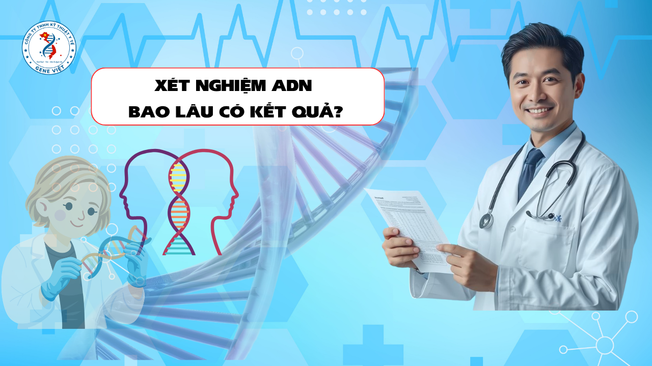 Xét Nghiệm ADN Sau Bao Lâu Có Kết Quả? Những Yếu Tố Ảnh Hưởng Đến Thời Gian Trả Kết Quả