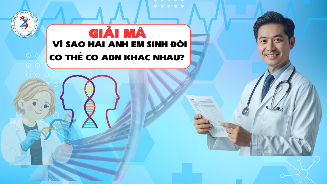 Vì Sao Hai Anh Em Sinh Đôi Có Thể Có ADN Khác Nhau? Giải Mã Điều Khiến Nhiều Người Bất Ngờ