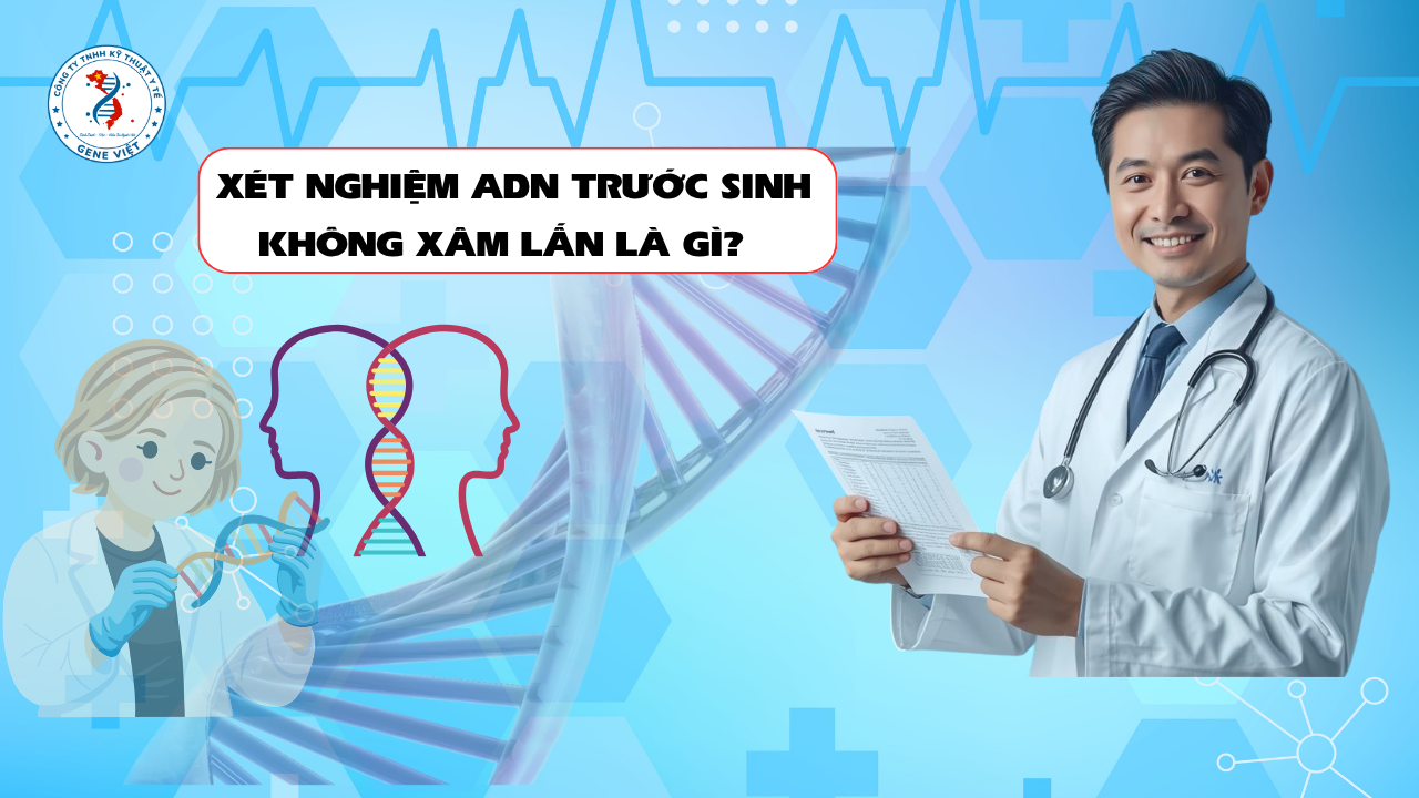 Xét Nghiệm ADN Trước Sinh Không Xâm Lấn Là Gì? Những Điều Mẹ Bầu Cần Biết