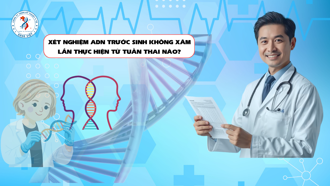 Xét Nghiệm ADN Trước Sinh Không Xâm Lấn Thực Hiện Từ Tuần Thai Bao Nhiêu?