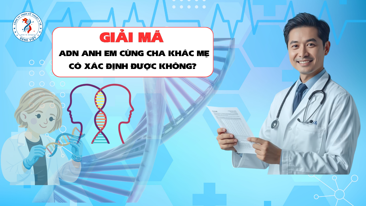Xét Nghiệm ADN Có Xác Định Được Anh Em Cùng Cha Khác Mẹ Không? Giải Đáp Từ Góc Nhìn Khoa Học