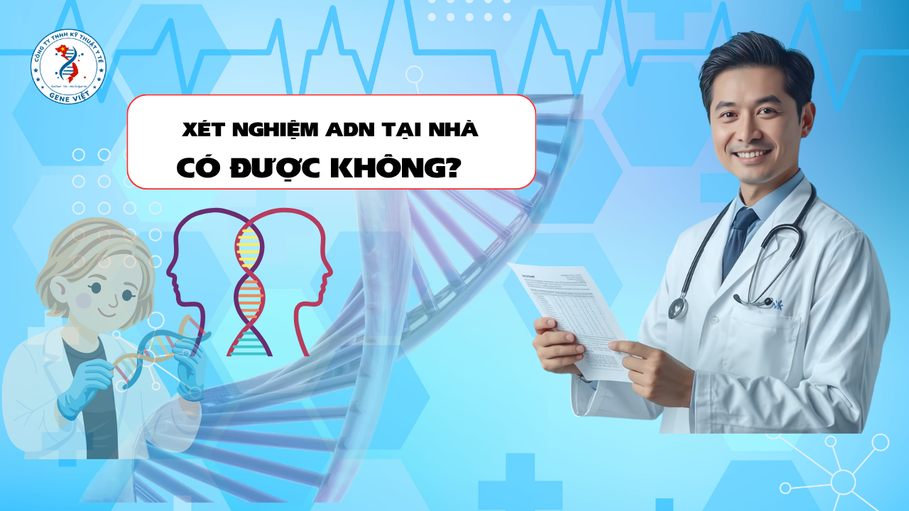 Xét Nghiệm ADN Có Thể Thực Hiện Tại Nhà Không? Những Điều Bạn Cần Biết