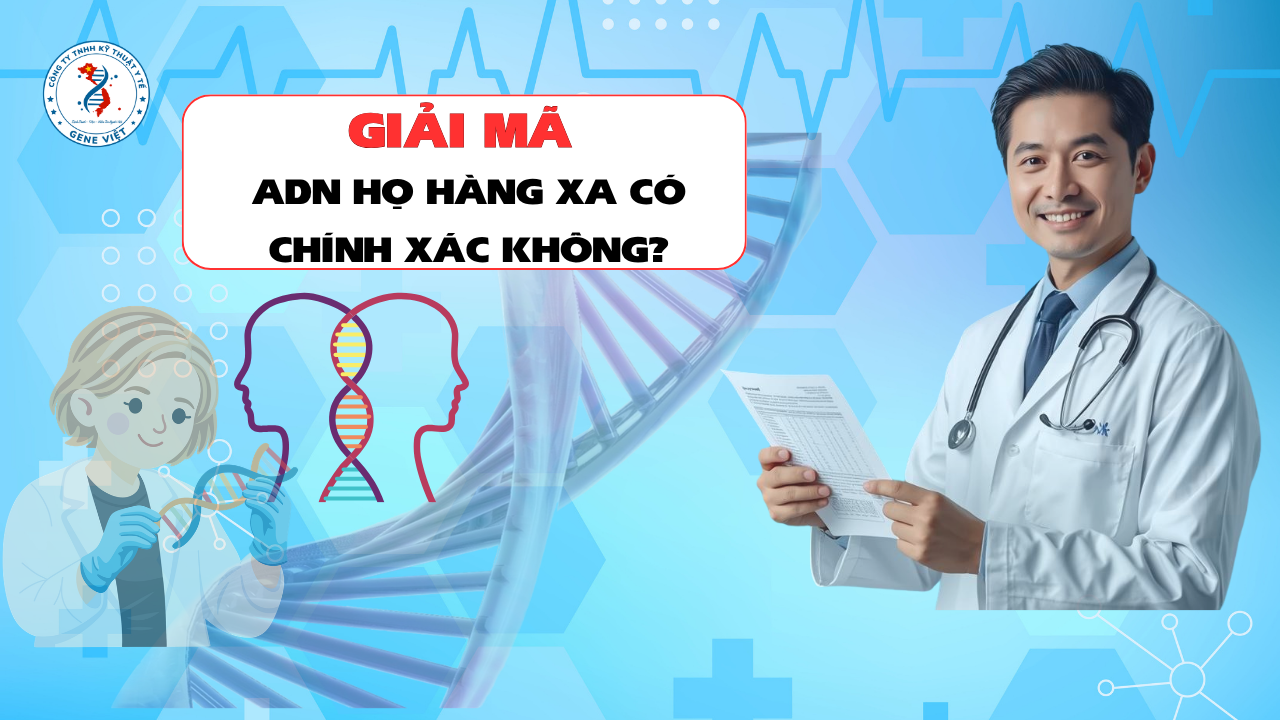 Xét Nghiệm ADN Họ Hàng Xa (Cô, Dì, Bác, Cậu, Cháu) Có Chính Xác Không?