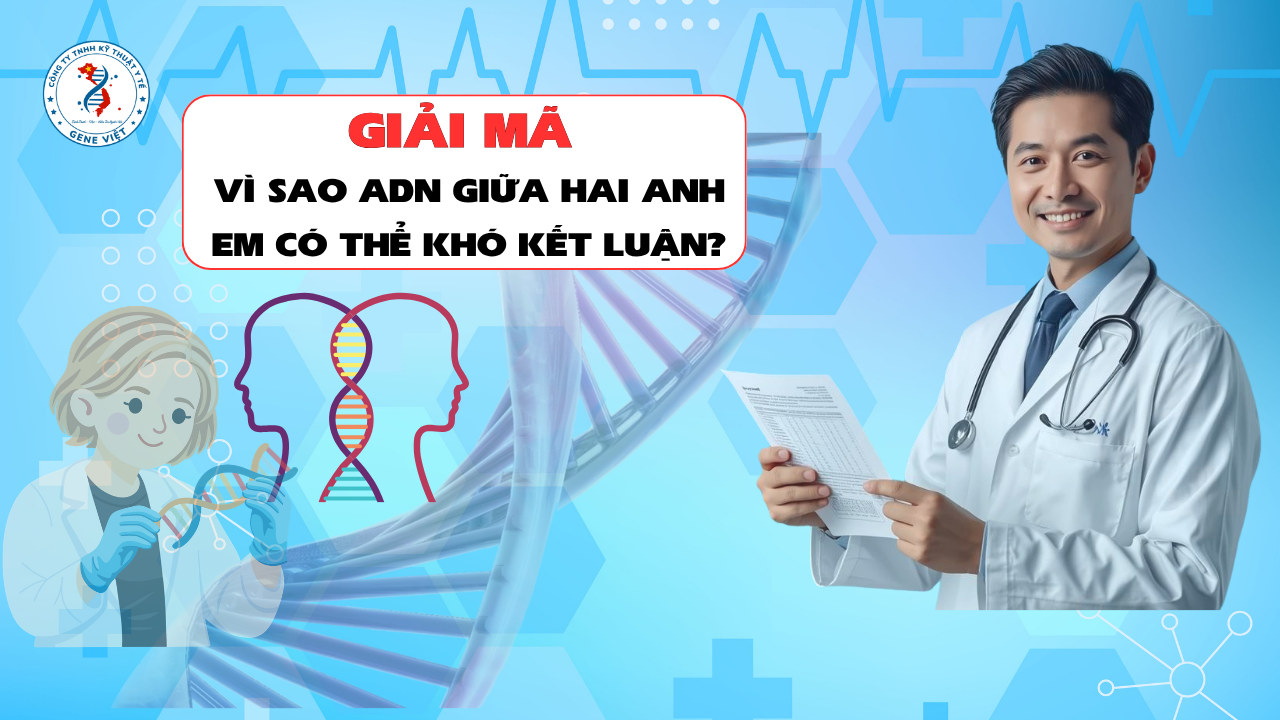 Tại Sao Xét Nghiệm ADN Giữa Hai Anh Em Có Thể Không Ra Kết Quả Chính Xác Như Mong Đợi?