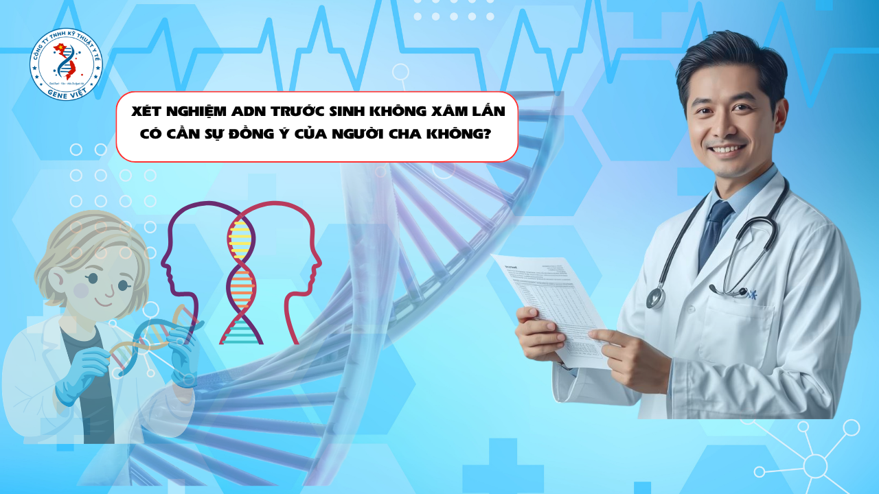 Xét Nghiệm ADN Trước Sinh Không Xâm Lấn Có Cần Sự Đồng Ý Của Người Cha Không?