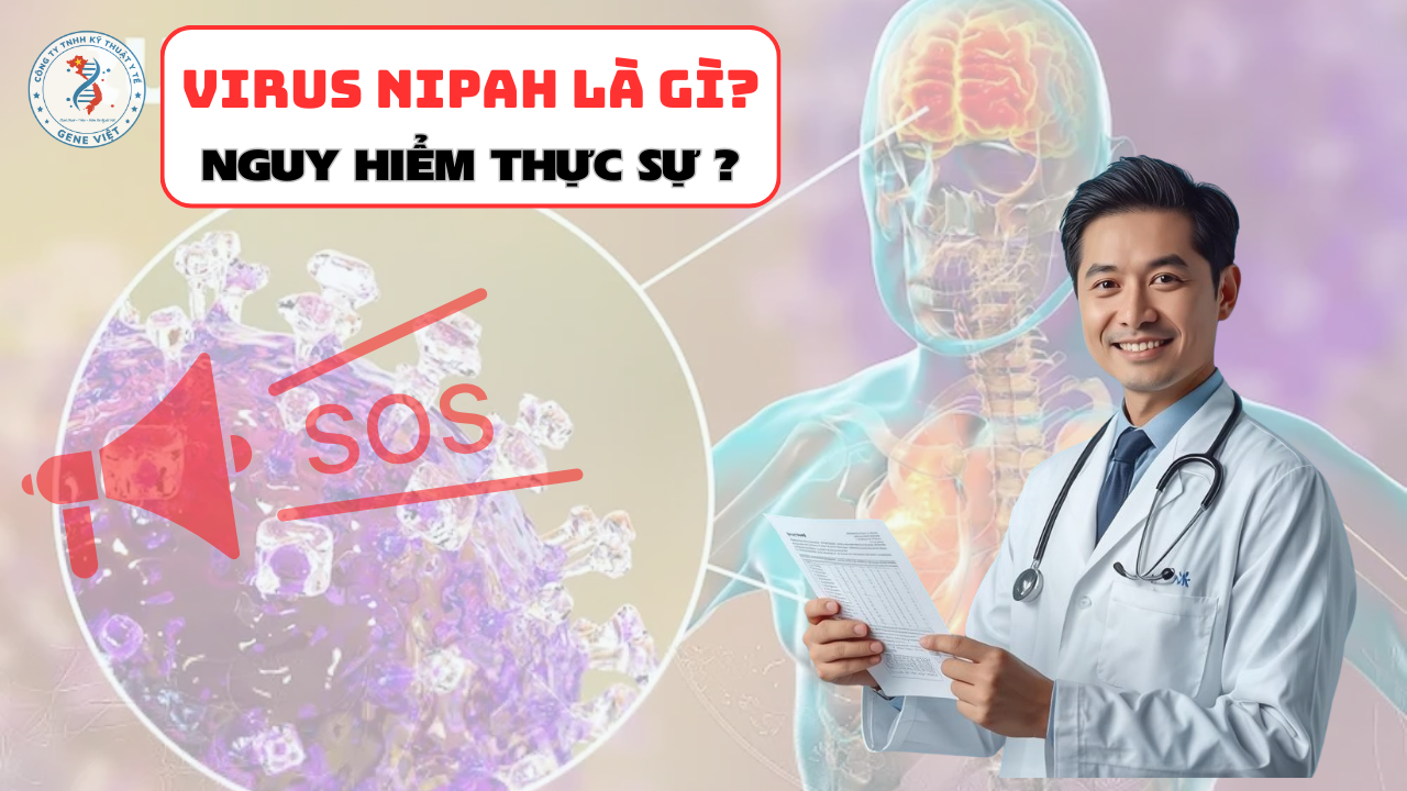 Virus Nipah là gì? Mức độ nguy hiểm & cảnh báo y tế mới nhất 2026