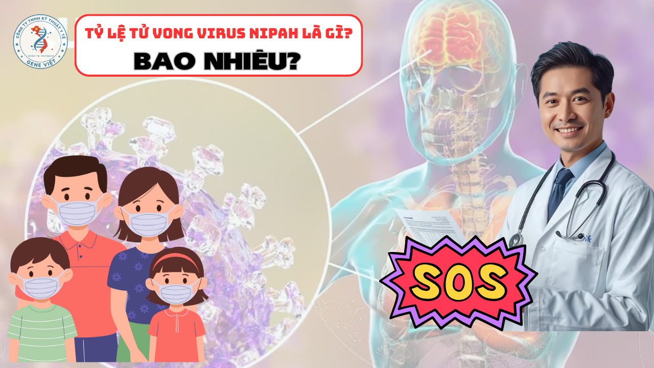 Virus Nipah là gì? Dịch Nipah Ấn Độ và đường lây nguy hiểm