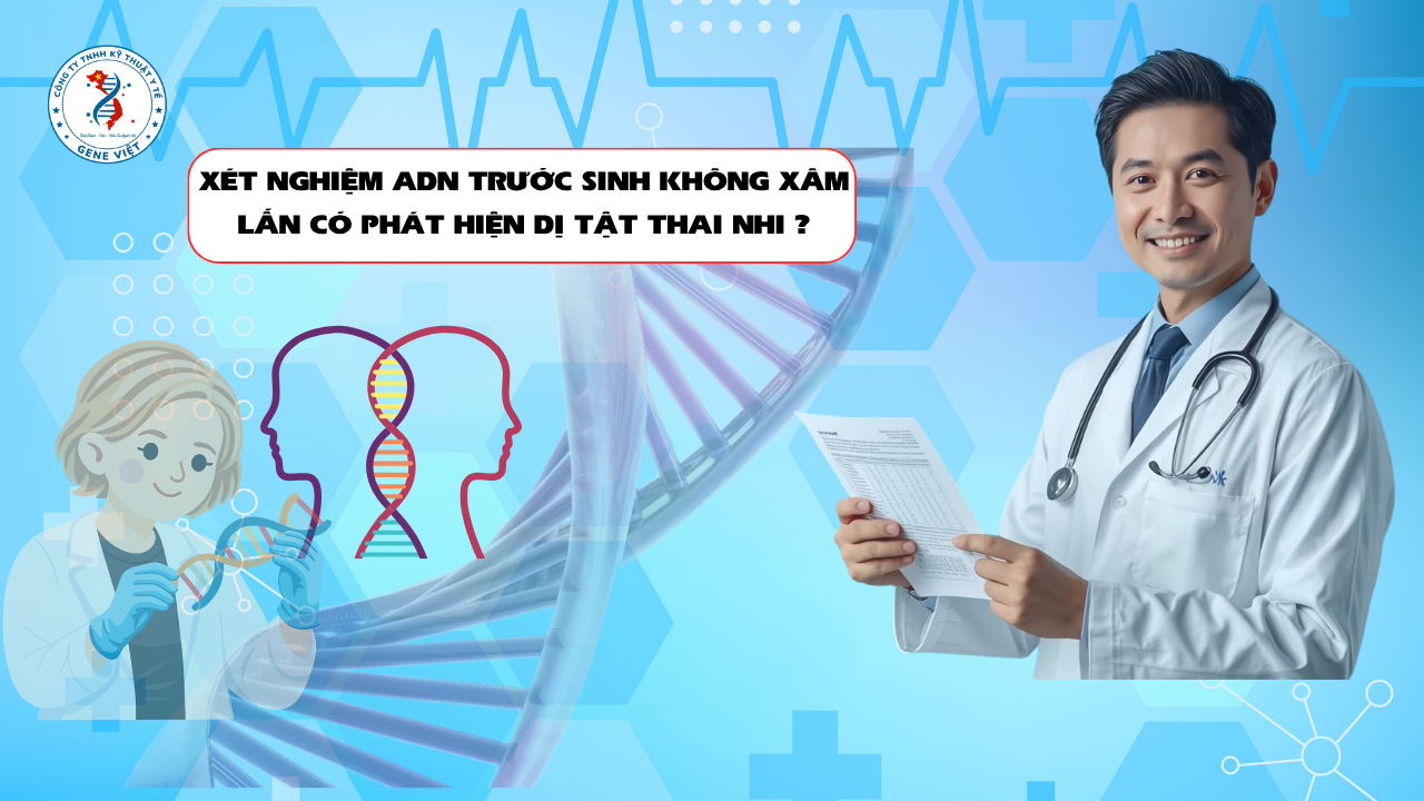 Xét Nghiệm ADN Trước Sinh Không Xâm Lấn Có Phát Hiện Được Dị Tật Thai Nhi Không?