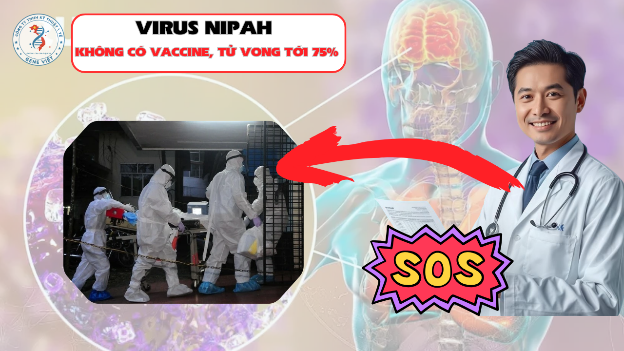 Không có vaccine, tử vong tới 75%: Virus Nipah Ấn Độ nguy hiểm ra sao?