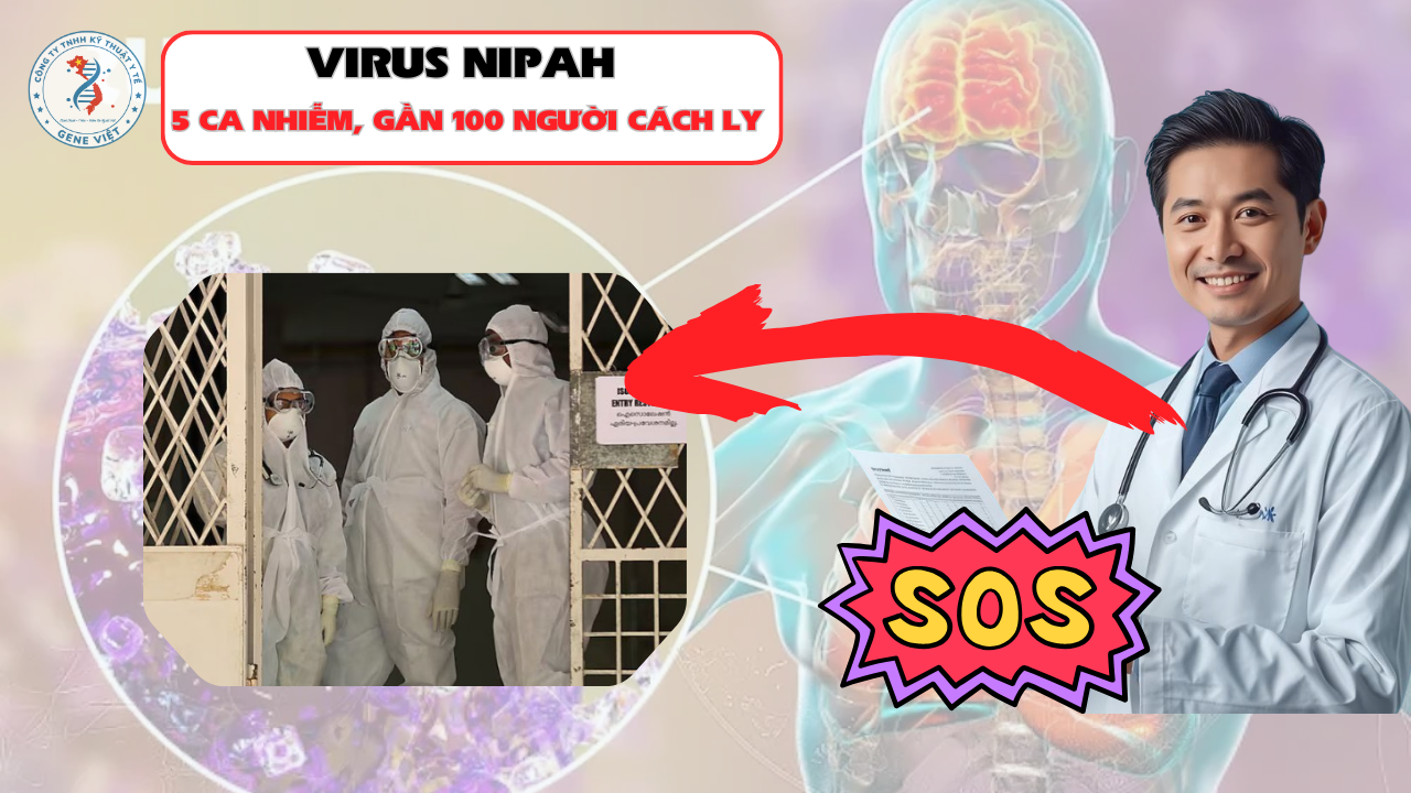 5 ca nhiễm, gần 100 người cách ly: Dịch Nipah Ấn Độ báo động khẩn