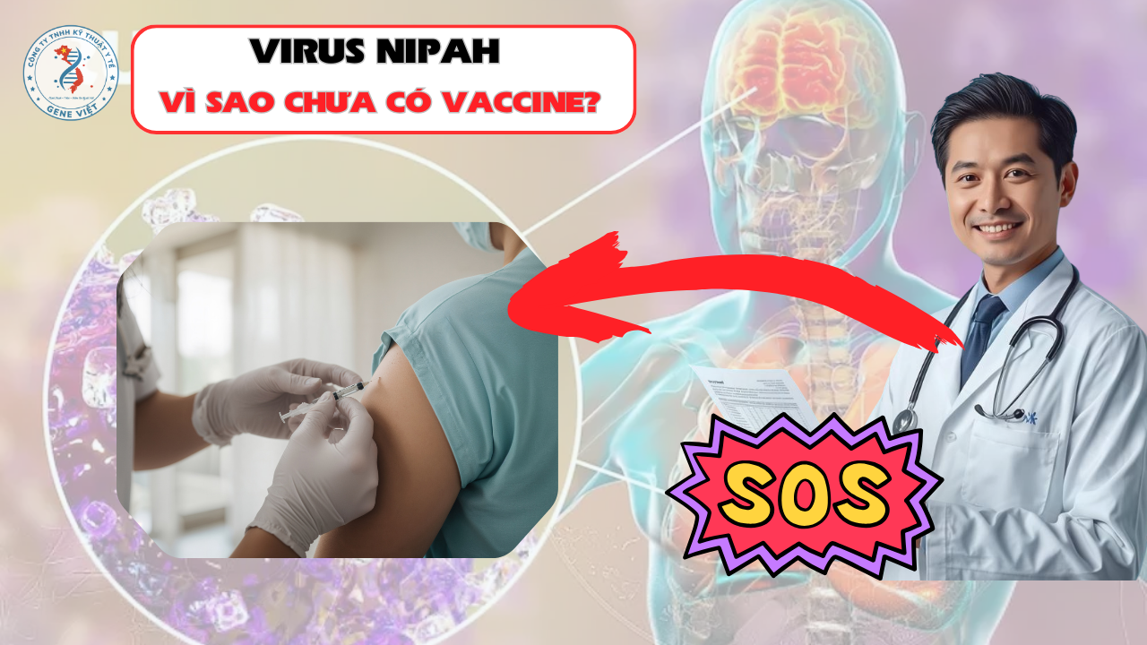 Vì sao virus Nipah chưa có vaccine? Rào cản lớn của y học hiện đại