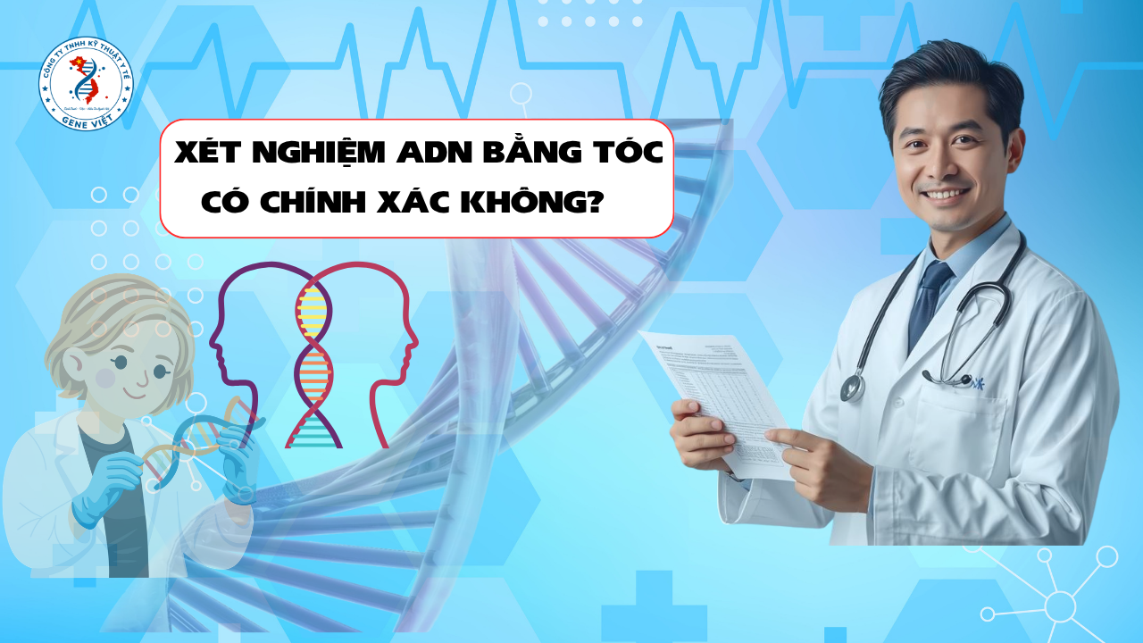 Xét Nghiệm ADN Bằng Tóc Có Chính Xác Không? Những Điều Nhiều Người Hiểu Chưa Đúng