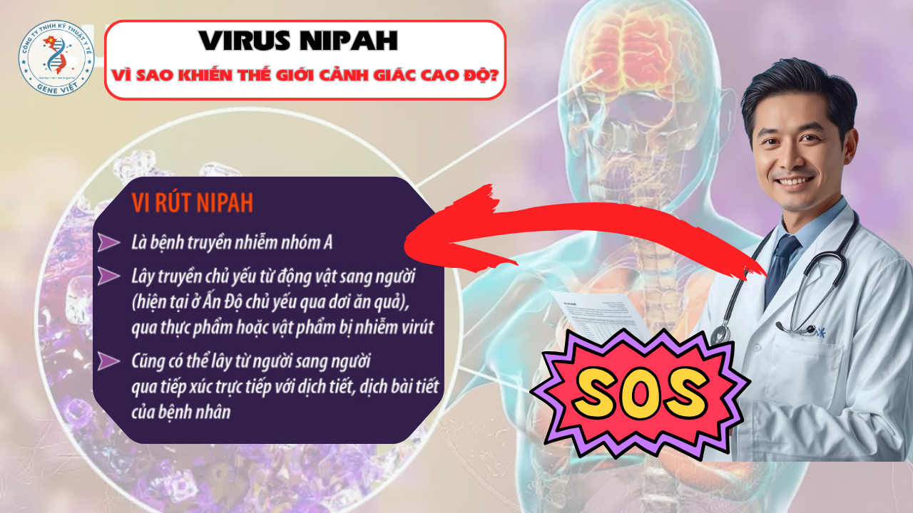 Virus Nipah: Vì sao mầm bệnh hiếm vẫn khiến thế giới cảnh giác cao độ?