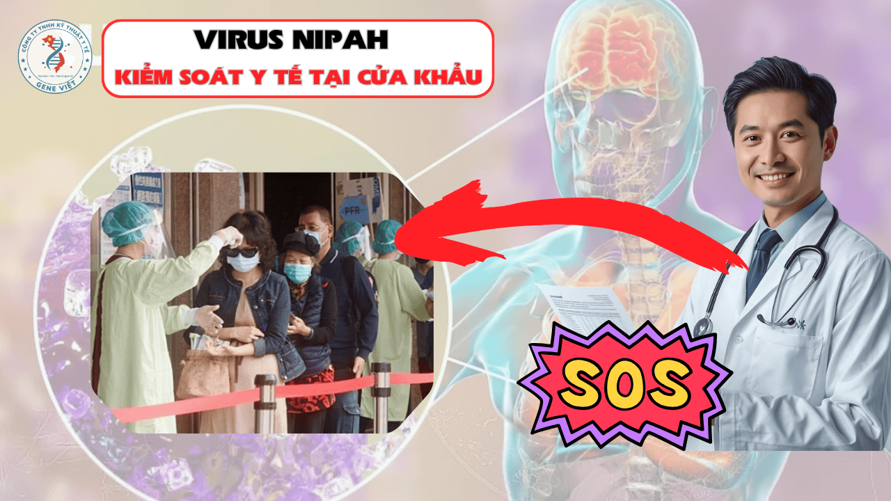Trước nguy cơ virus Nipah, nhiều nước siết kiểm soát y tế tại cửa khẩu