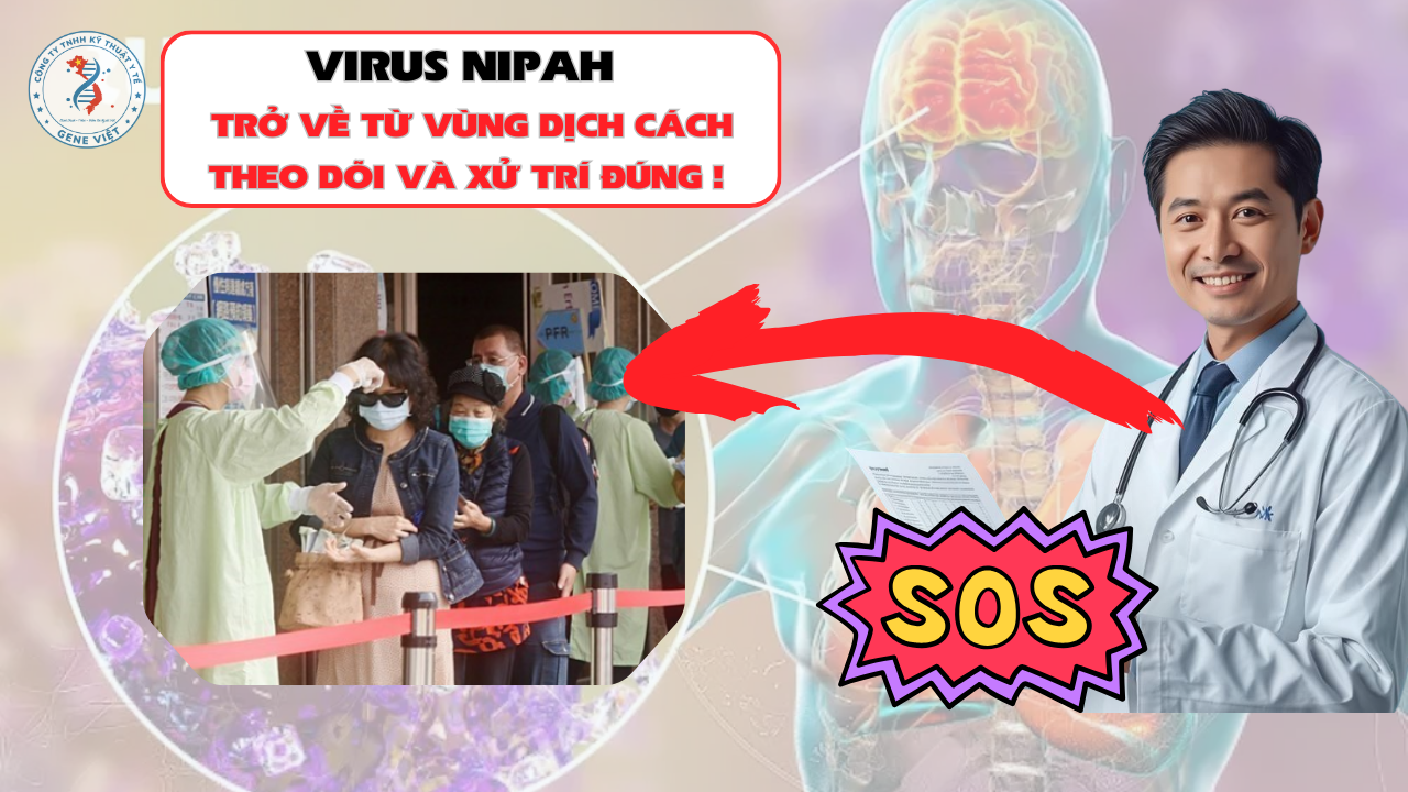 Trở về từ vùng có virus Nipah: Cách theo dõi và xử trí đúng