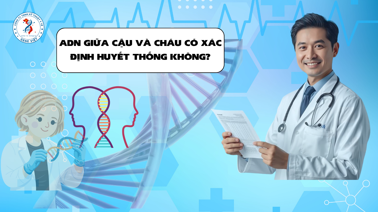 Xét Nghiệm ADN Giữa Cậu Và Cháu Có Thể Khẳng Định Quan Hệ Huyết Thống Không?