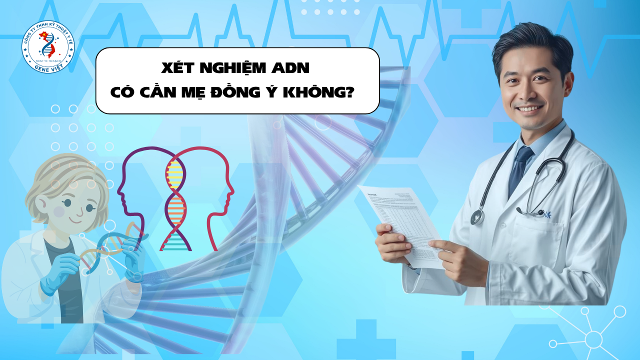 Xét Nghiệm ADN Có Cần Sự Đồng Ý Của Mẹ Không? Điều Nhiều Người Hiểu Chưa Đúng