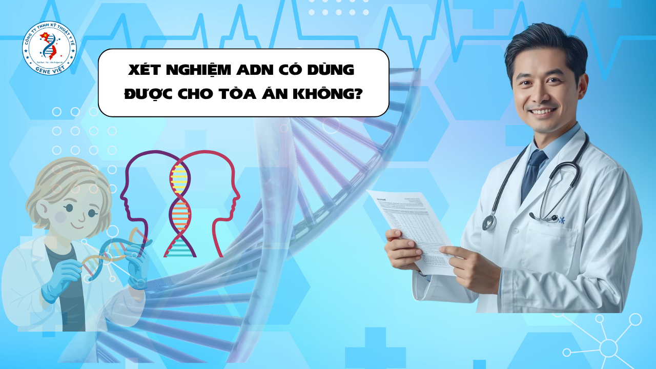 Xét Nghiệm ADN Có Dùng Được Cho Tòa Án Không? Điều Nhiều Người Quan Tâm
