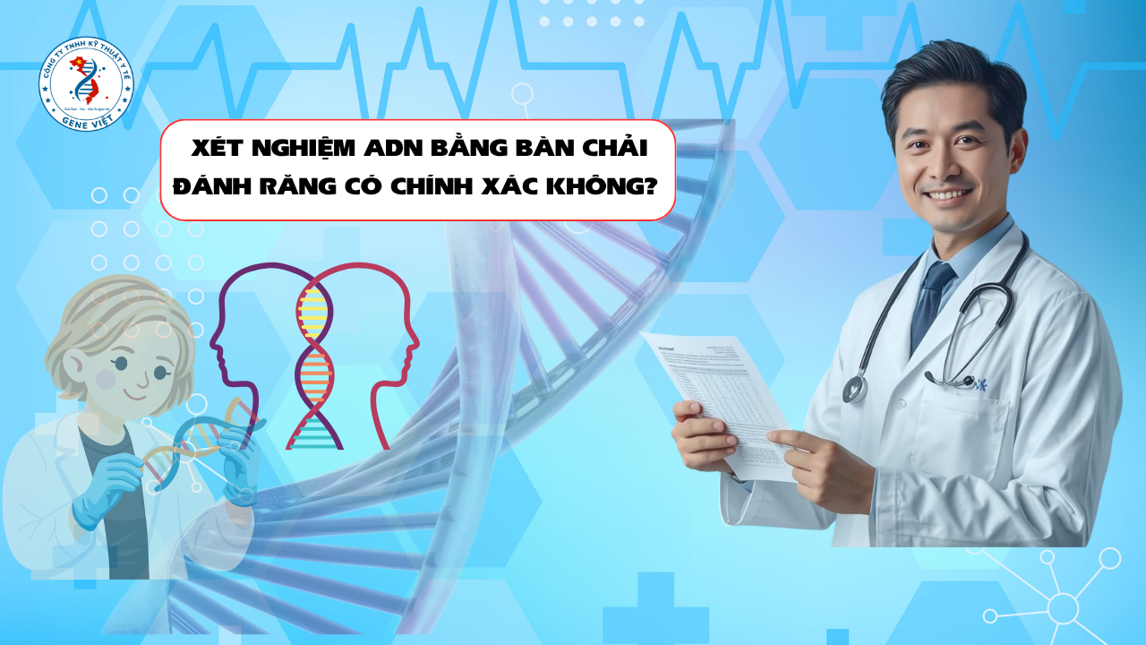 Xét Nghiệm ADN Bằng Bàn Chải Đánh Răng Có Chính Xác Không? Những Điều Cần Biết
