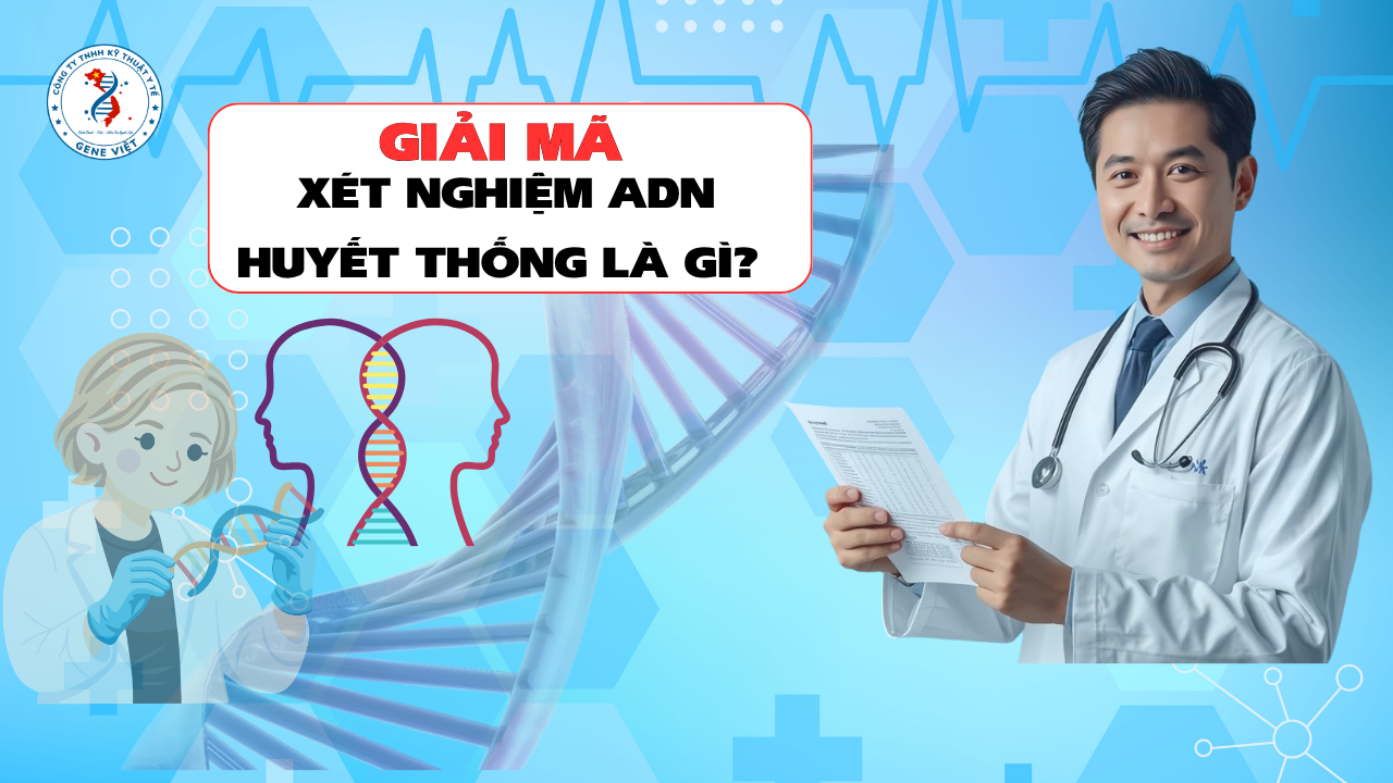 Xét Nghiệm ADN Huyết Thống Là Gì? Giải Mã Từ A–Z Dưới Góc Nhìn Khoa Học