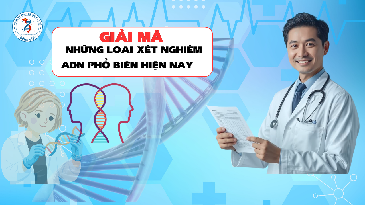 Những Loại Xét Nghiệm ADN Phổ Biến Hiện Nay – Hiểu Đúng