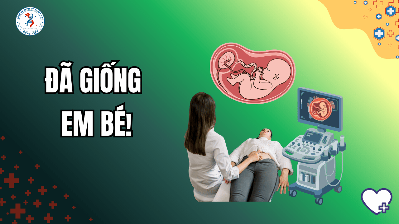 Tuần 9–12 Thai Kỳ: Thai nhi đã “giống một em bé” như thế nào?
