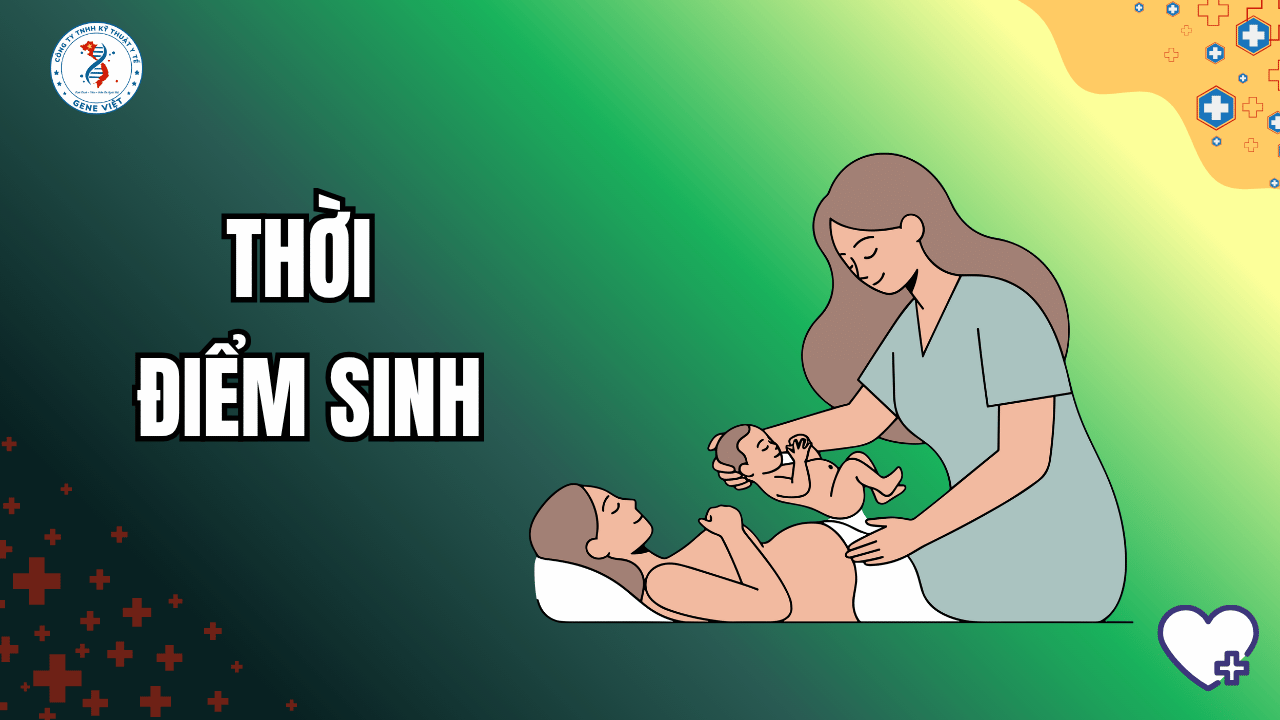 Tuần 37–40 Thai Kỳ: Khi nào thai đủ tháng?