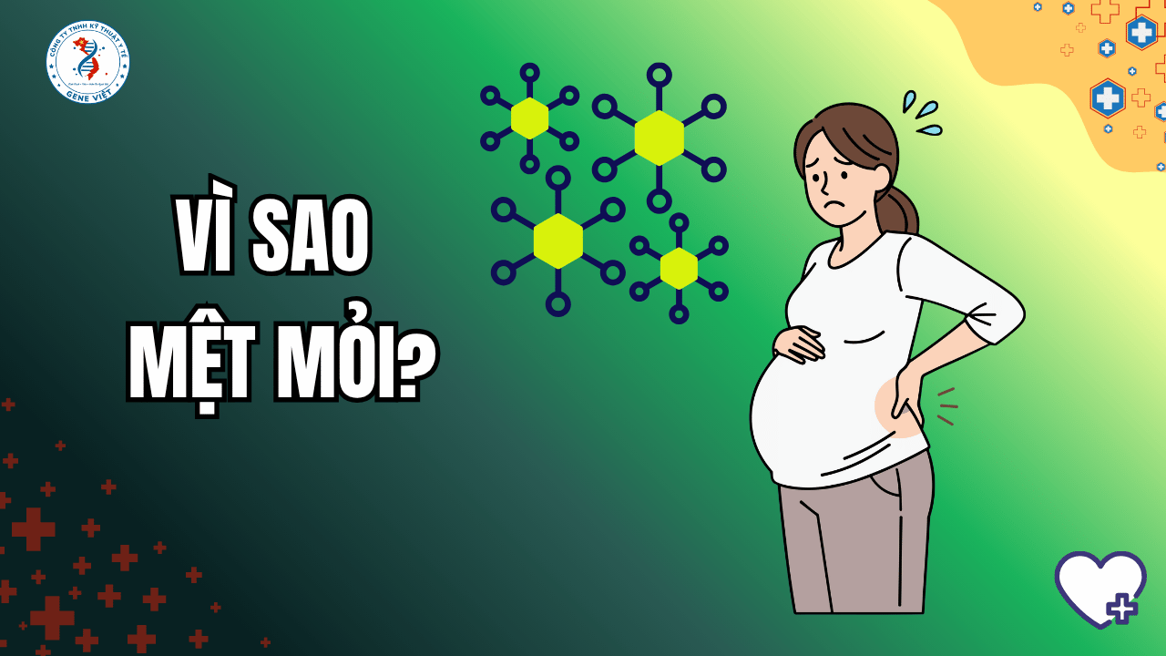 Những thay đổi hormone khi mang thai: Vì sao cơ thể mẹ thay đổi nhiều đến vậy?