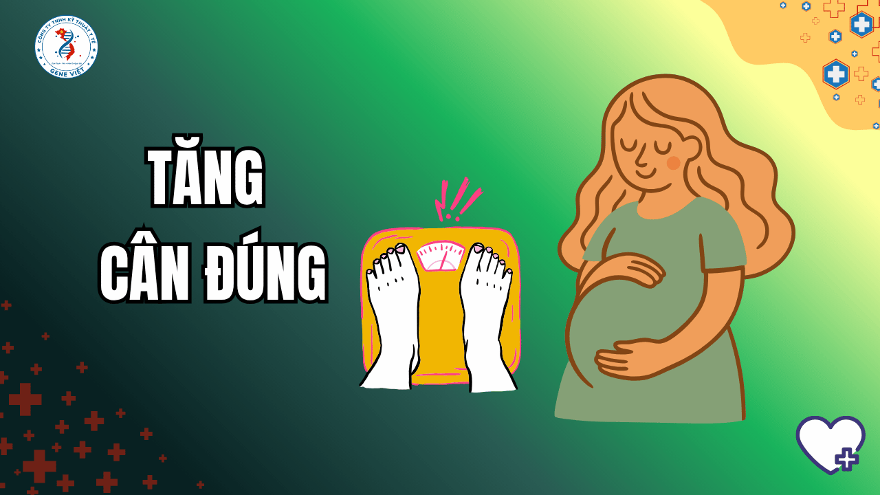 Tăng cân khi mang thai bao nhiêu là đủ?