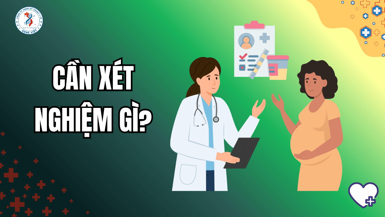 Trước khi mang thai cần xét nghiệm gì? Những kiểm tra quan trọng không nên bỏ qua
