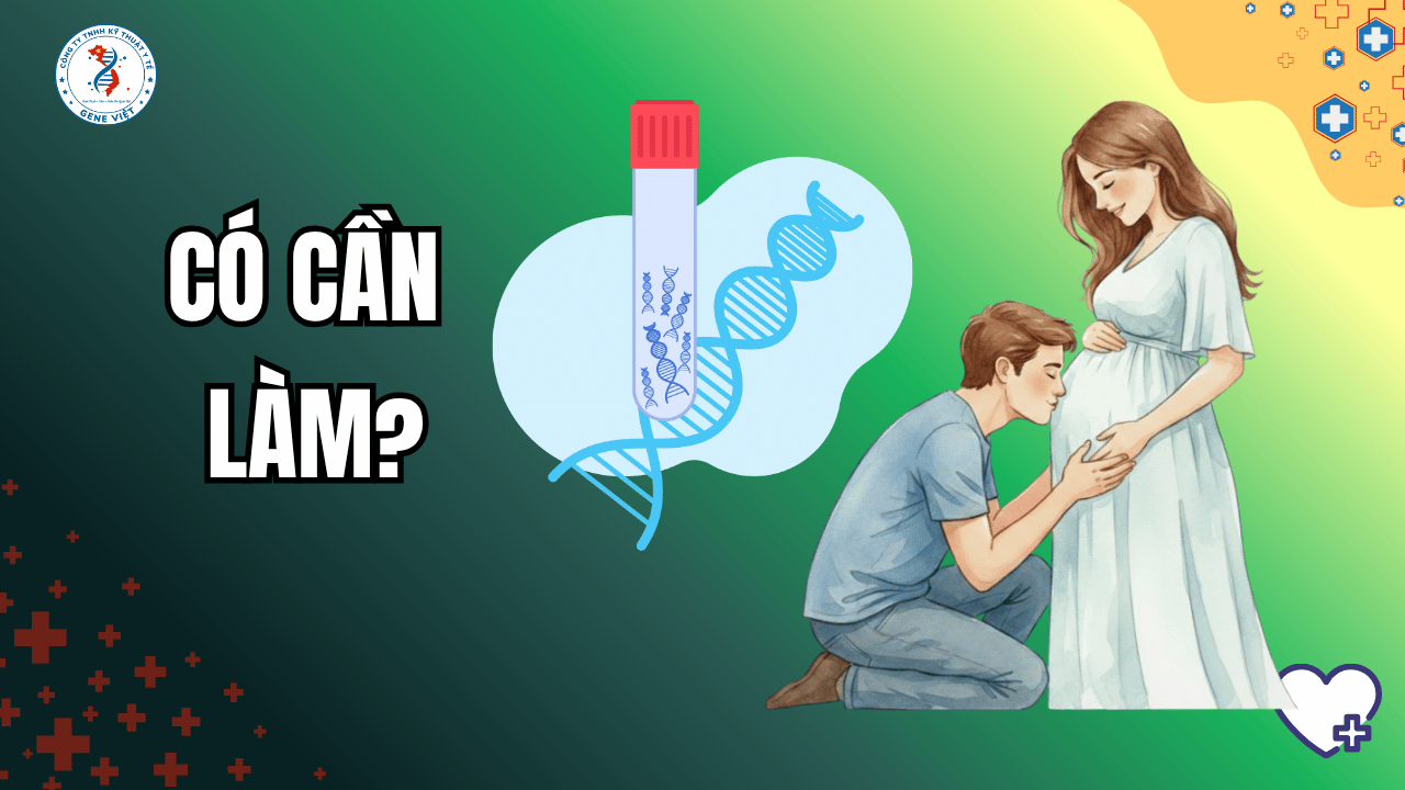 Sàng lọc dị tật thai nhi: NIPT là gì? Có cần làm không?