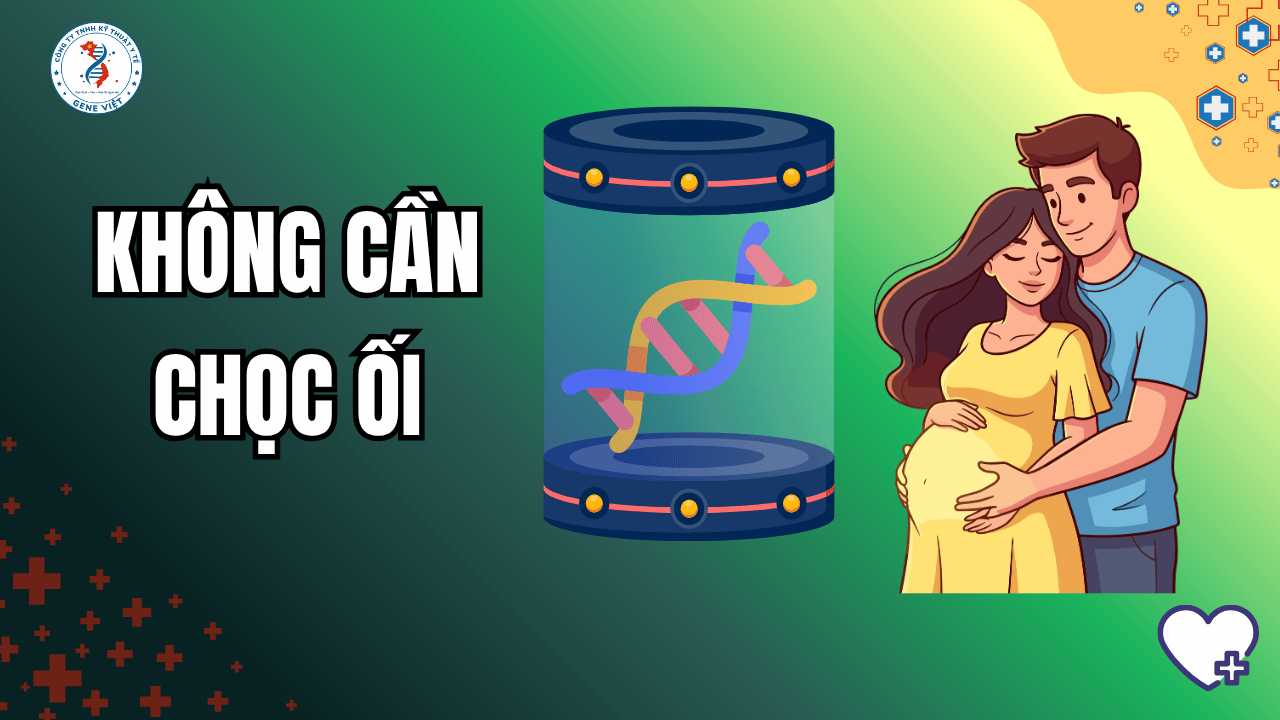 Xét nghiệm ADN trước sinh không xâm lấn là gì? Có an toàn cho thai nhi không?
