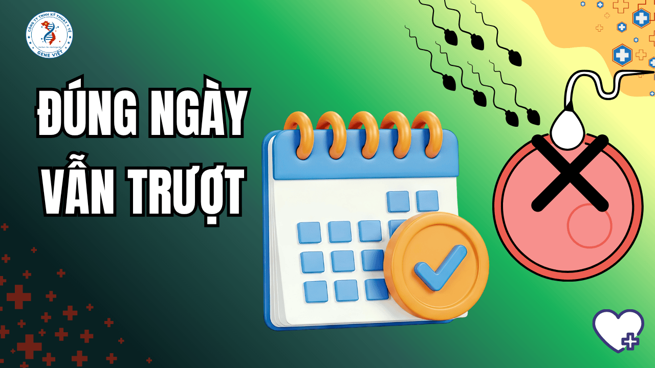 Quan Hệ Đúng Ngày Sao Vẫn Không Có Thai?