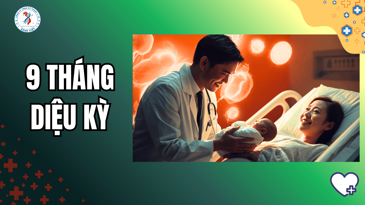 Thụ thai là gì? Quá trình bắt đầu sự sống diễn ra thế nào?