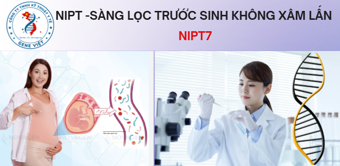 NIPT7 sàng lọc toàn diện bất thường nhiễm sắc thể cho thai nhi 2026
